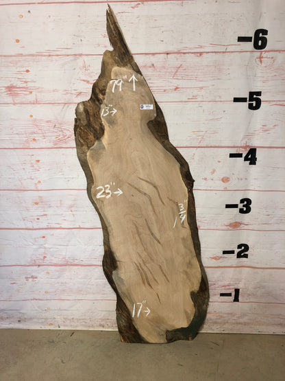 Live Edge Maple Sku# 22368E-17