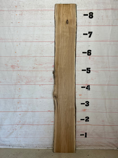 Live Edge Butternut Sku#26322C-16