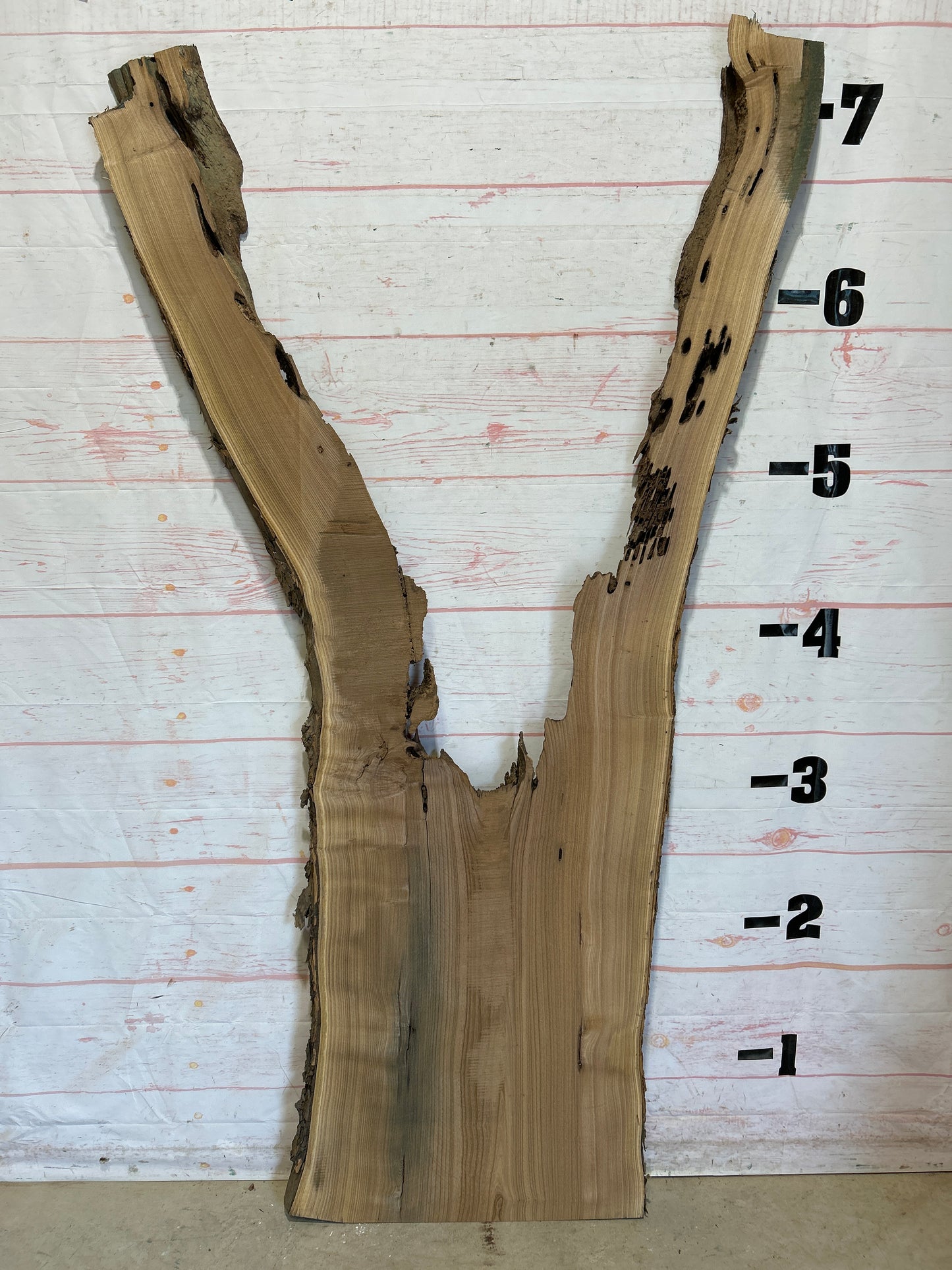 Live Edge Catalpa Sku#25898-25