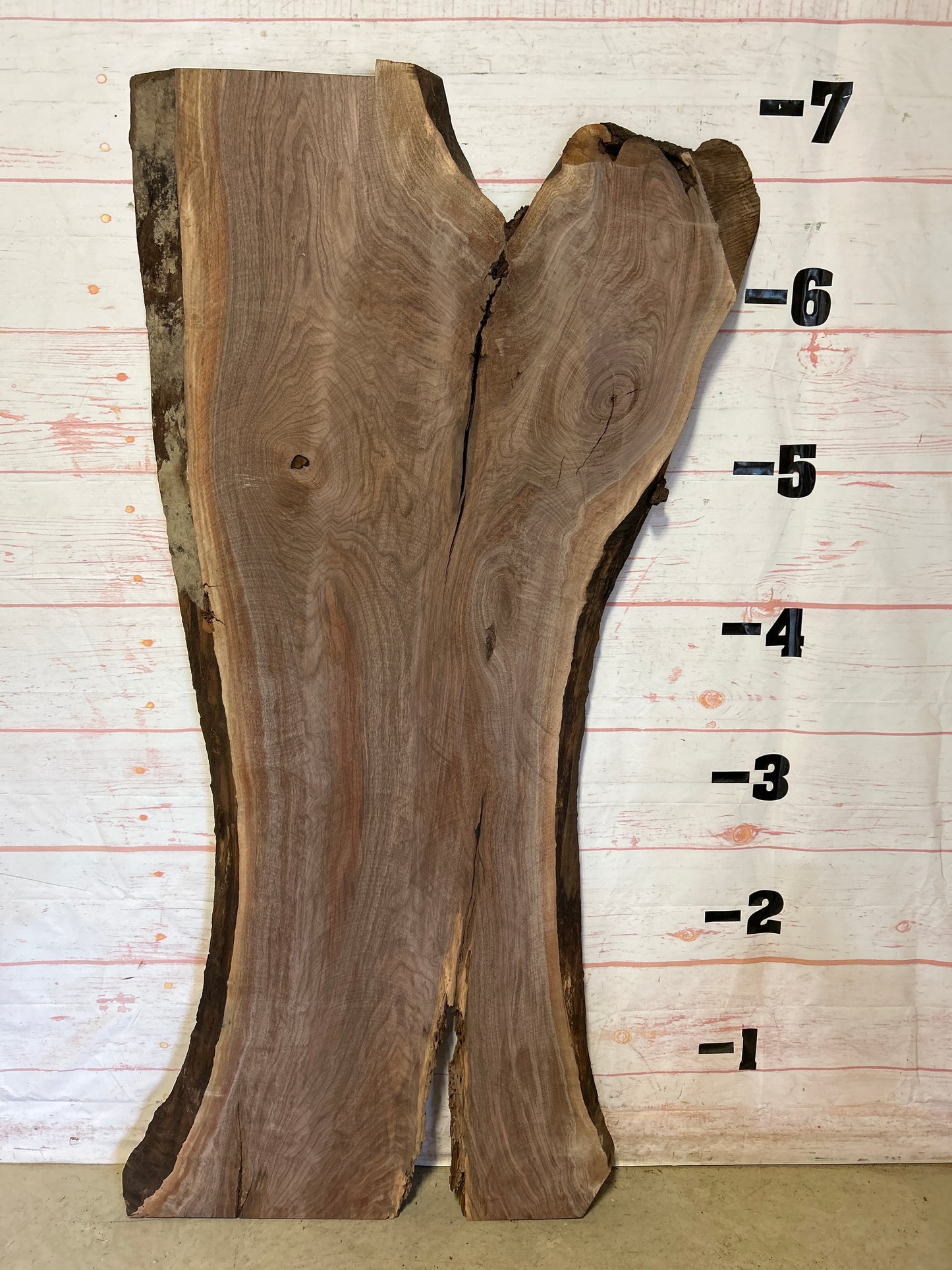 Live Edge Walnut Sku#23574-50