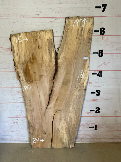 Live Edge Spalted Maple Sku#23923S-41