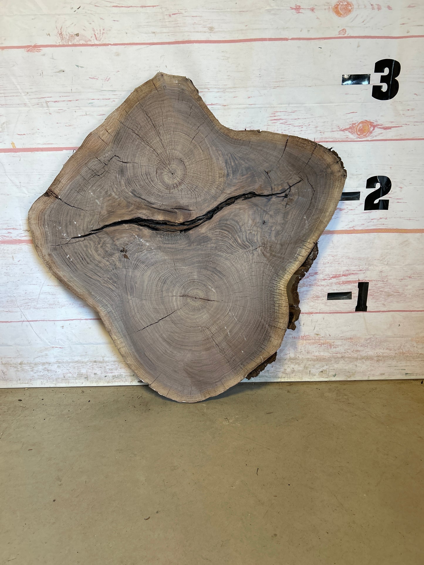 Live Edge Walnut Cookie#24016M