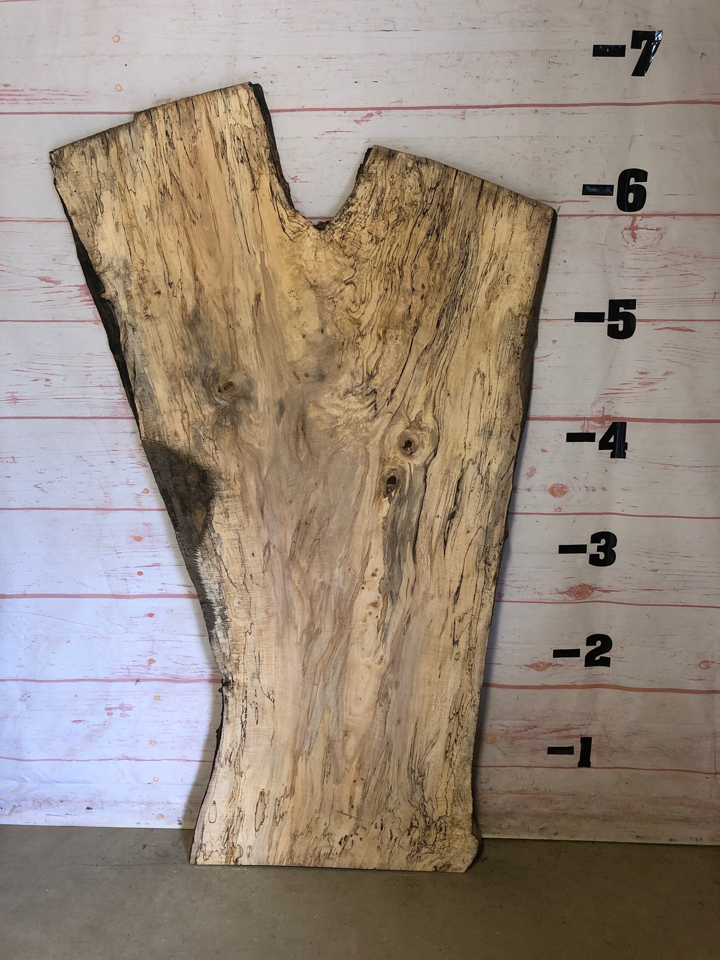 Live Edge Spalted Maple Sku#23213S-45