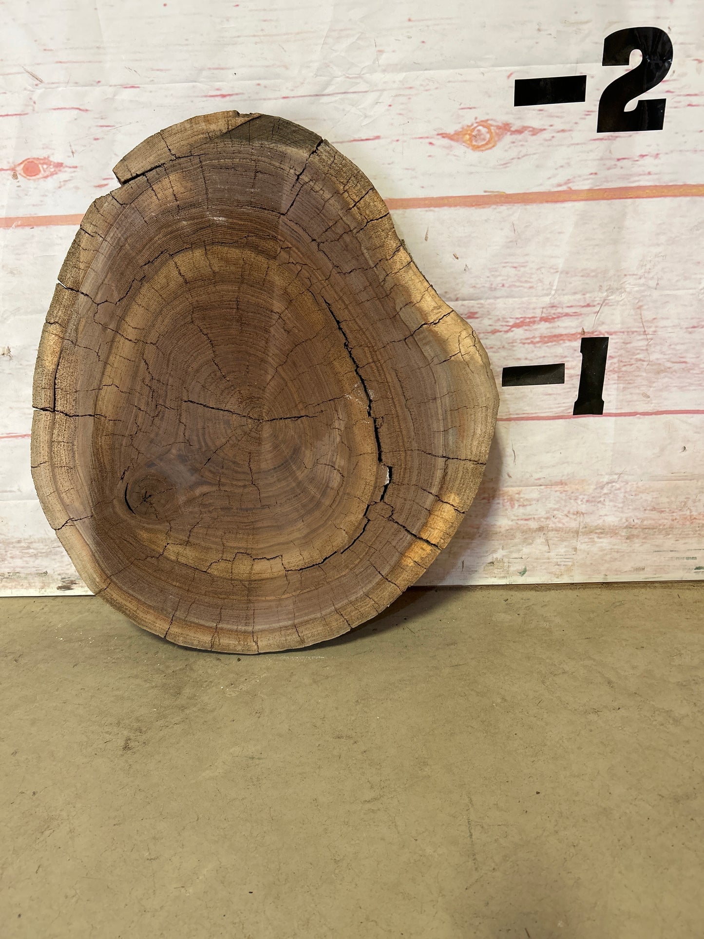 LiveEdge Walnut Cookie Sku#24143M