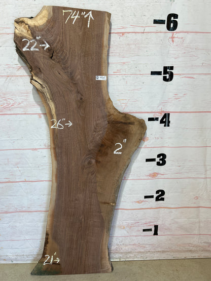 Live Edge Walnut Sku#25887A-25