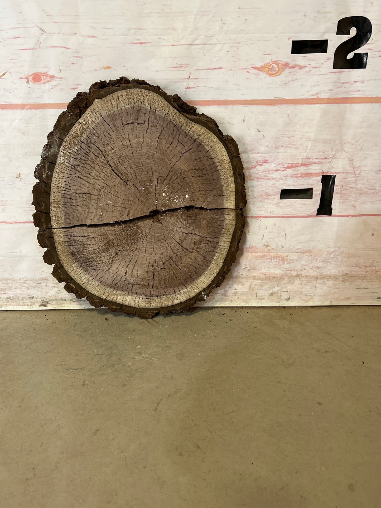 LiveEdge Walnut Cookie Sku#24752M