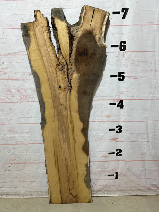 Live Edge Mulberry Sku#27106-30