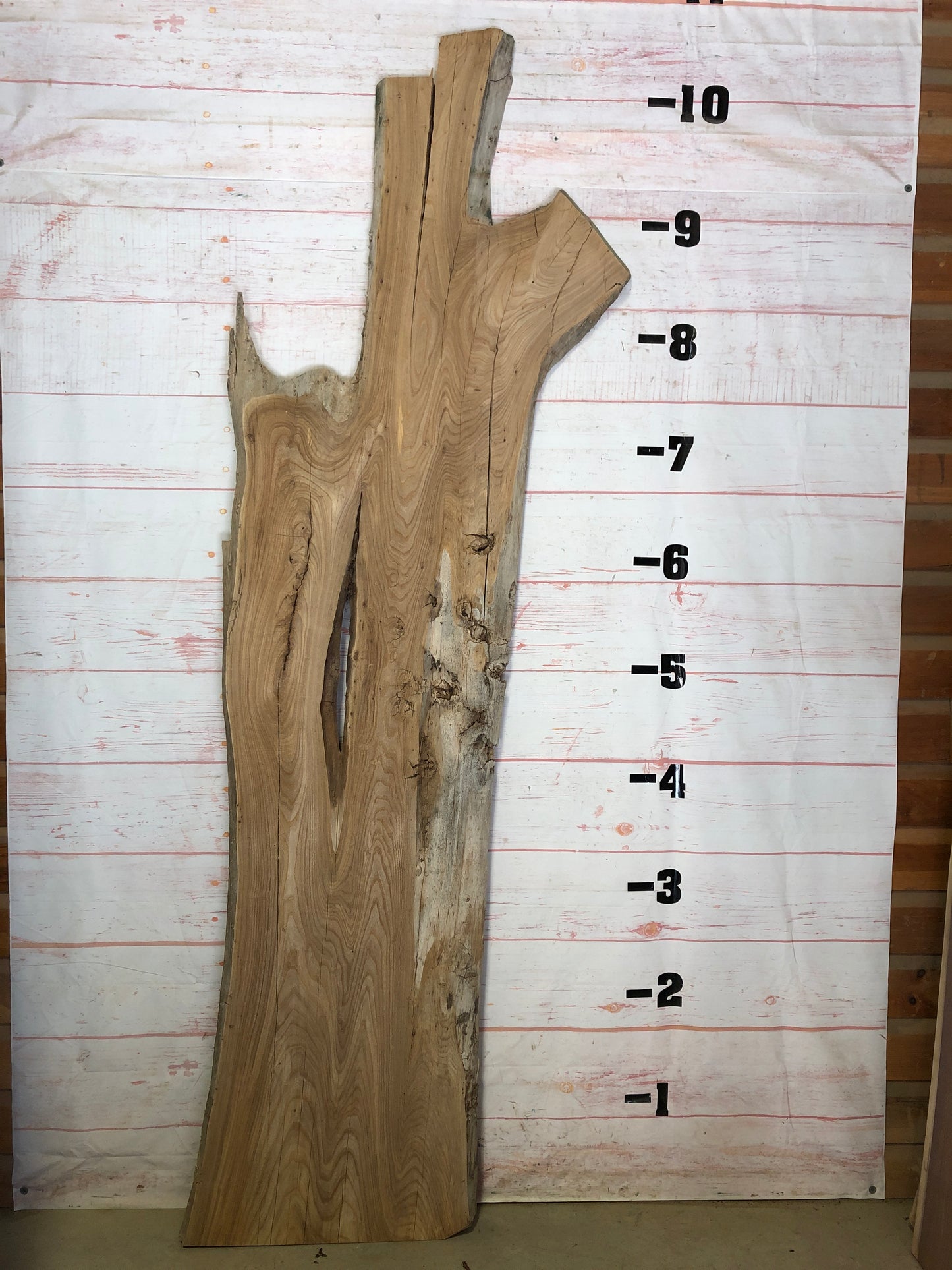 Live Edge Elm Sku#22638-53