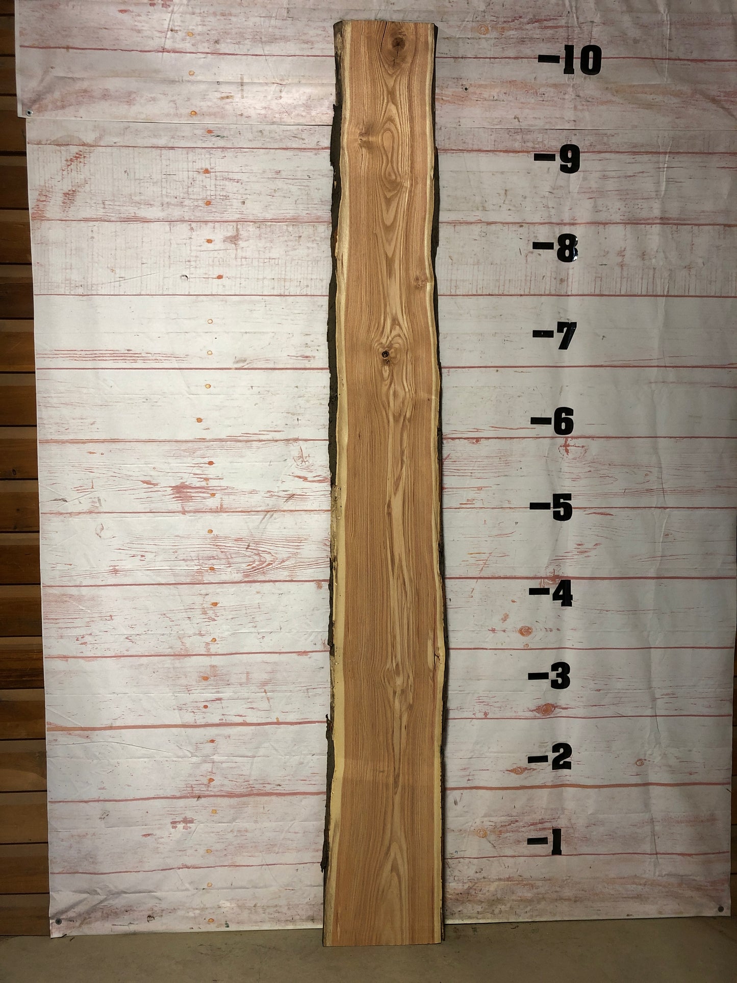 Live Edge Honey Locust Sku# 21187-20