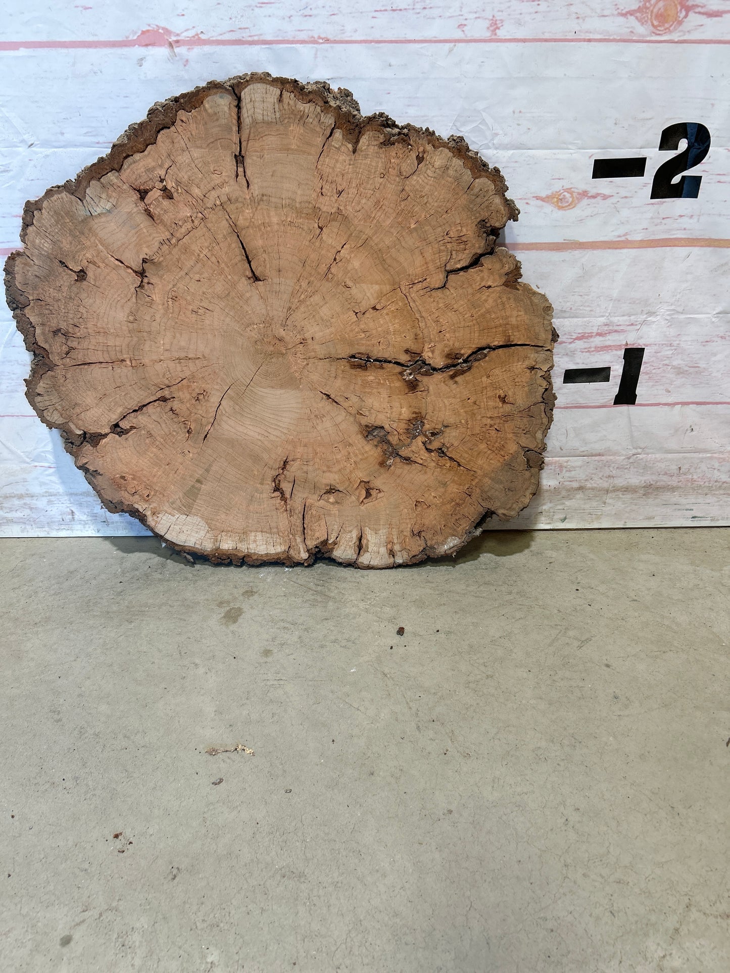Live Edge Cherry Cookie Sku#26169M