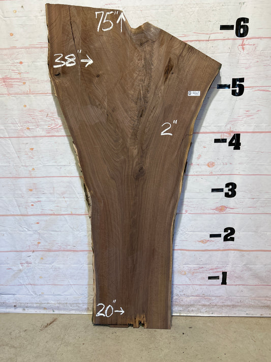 Live Edge Walnut Sku#26361F-30