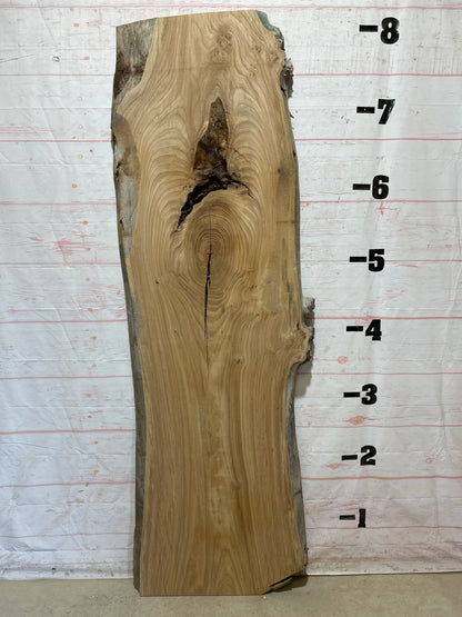Live Edge Elm Sku#27048-40