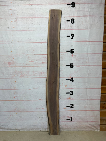 Live Edge Walnut Sku#25781M-11