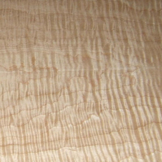 Curly Maple Hardwood Lumber Top Grade FAS - 25 bdft pack