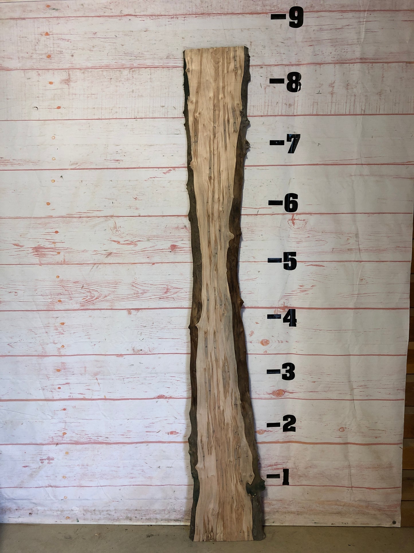 Live Edge Ambrosia Maple Sku# 22967B-13