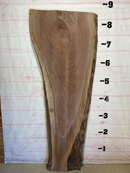 Live Edge Walnut Sku#26365-65
