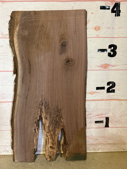 Live Edge Walnut Sku#24620A-13