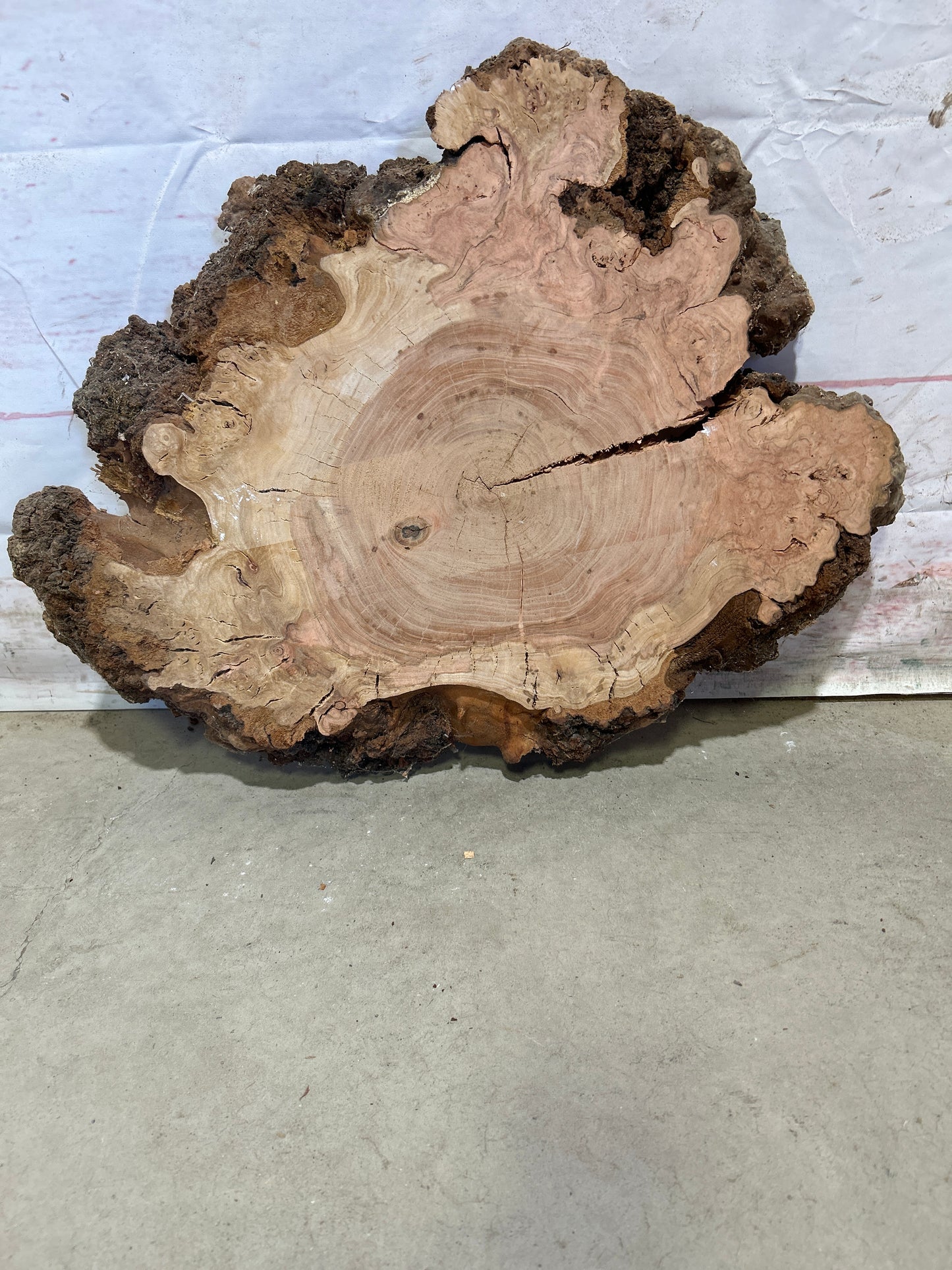 Live Edge Cherry Sku#26555M