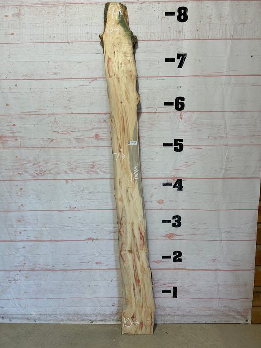Live Edge Box Elder Sku#25718D-8