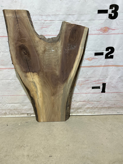 Live Edge Walnut Sku#26637M-7