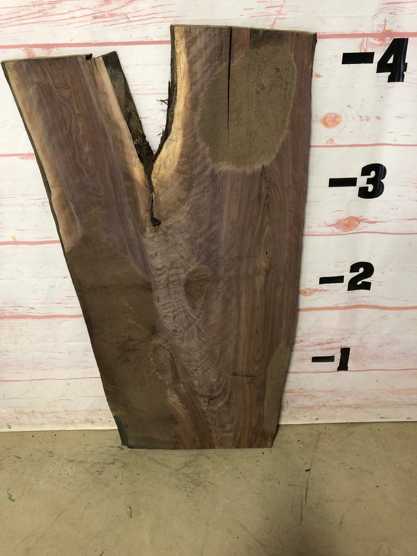 Live Edge Curly Walnut Sku# 22254M-13