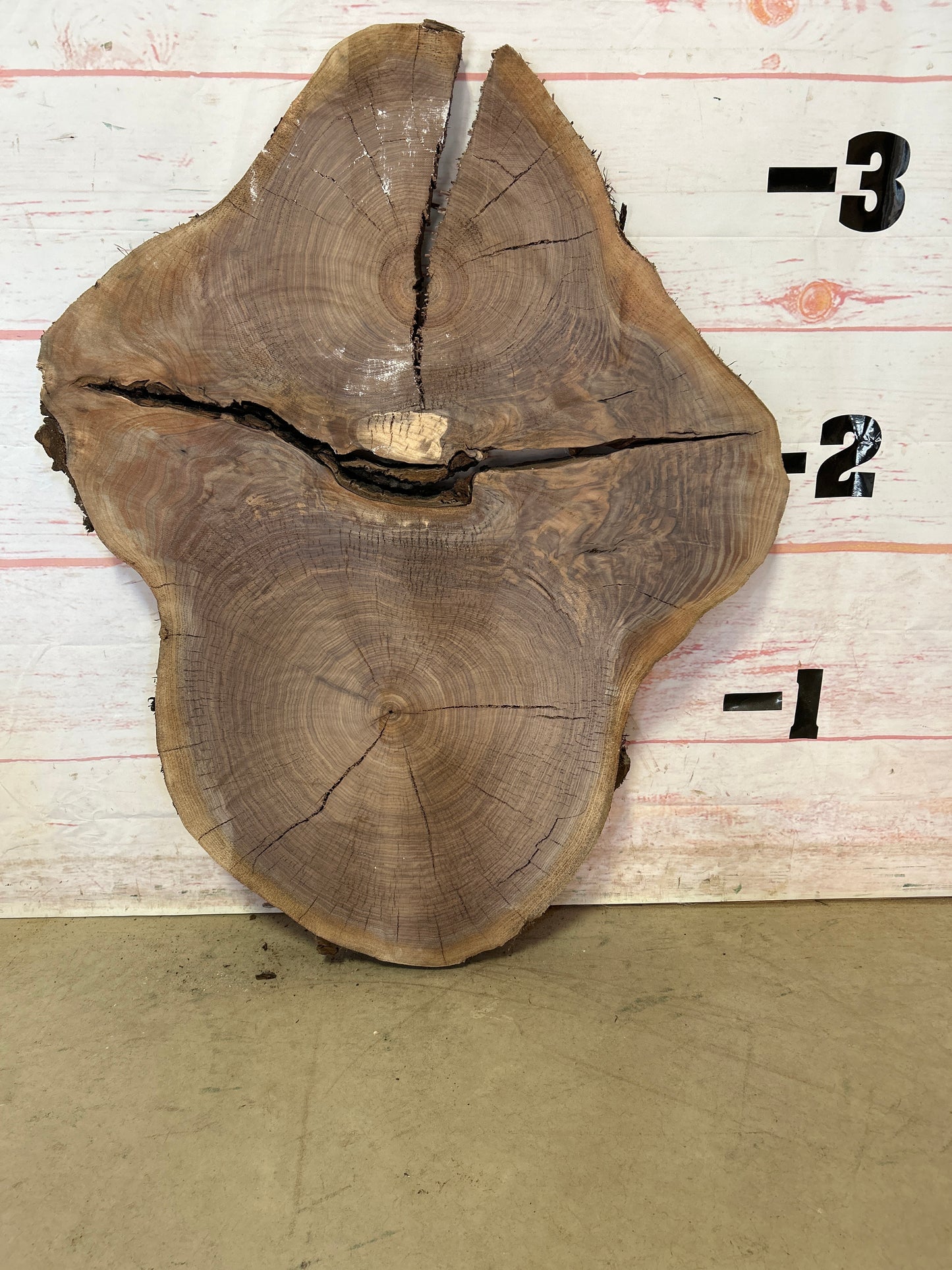 Live Edge Walnut Cookie Sku# 23866M