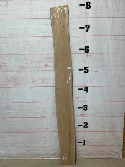 Live Edge Elm Sku#25485H-8