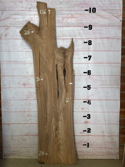 Live Edge Elm Sku#22638-53