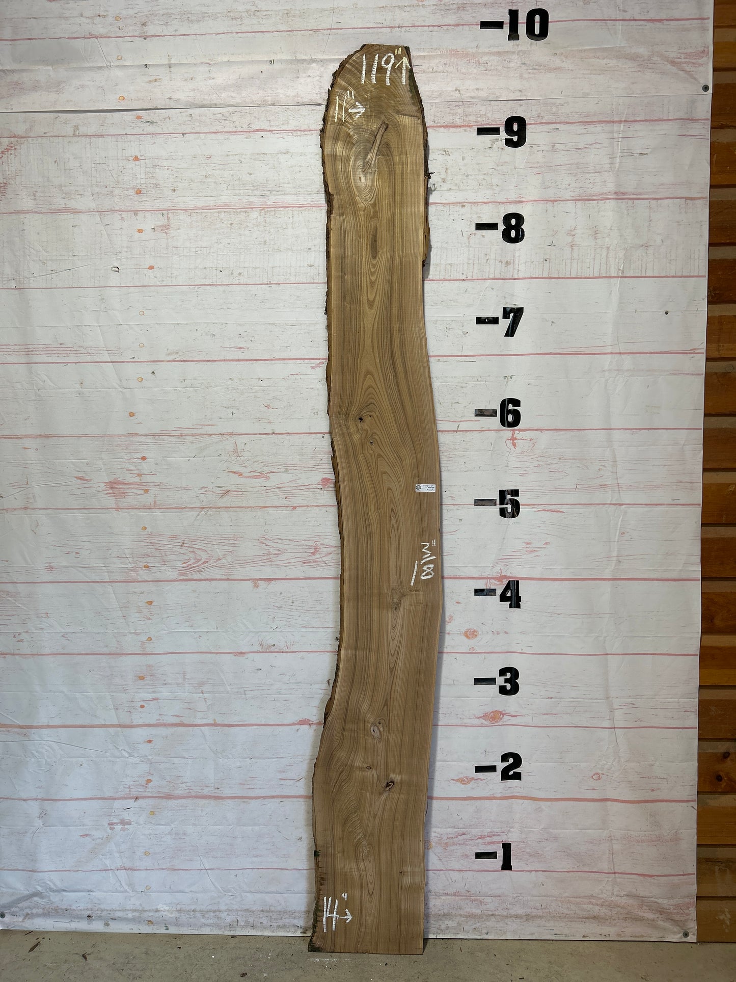 Live Edge Catalpa Sku#25976-16