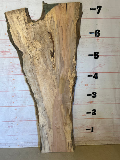 Live Edge Maple Sku#25043B-42