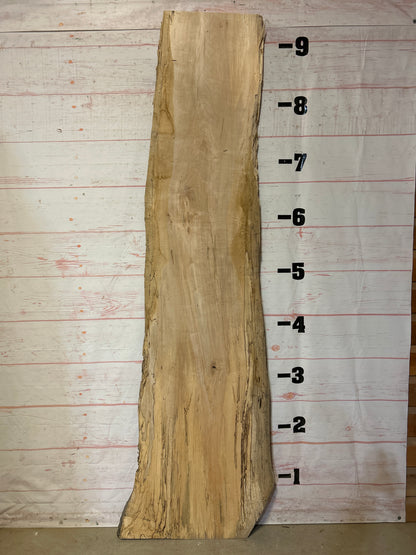 Live Edge Spalted Maple Sku#24453-35