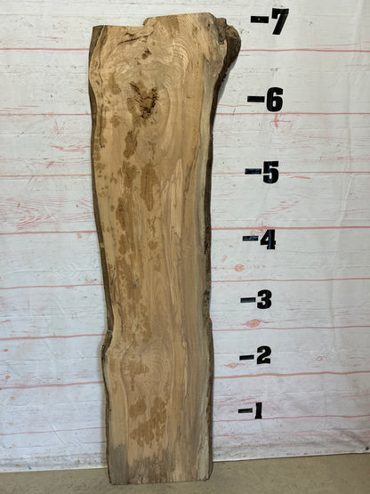 Live Edge Ash Sku# 26483H-25