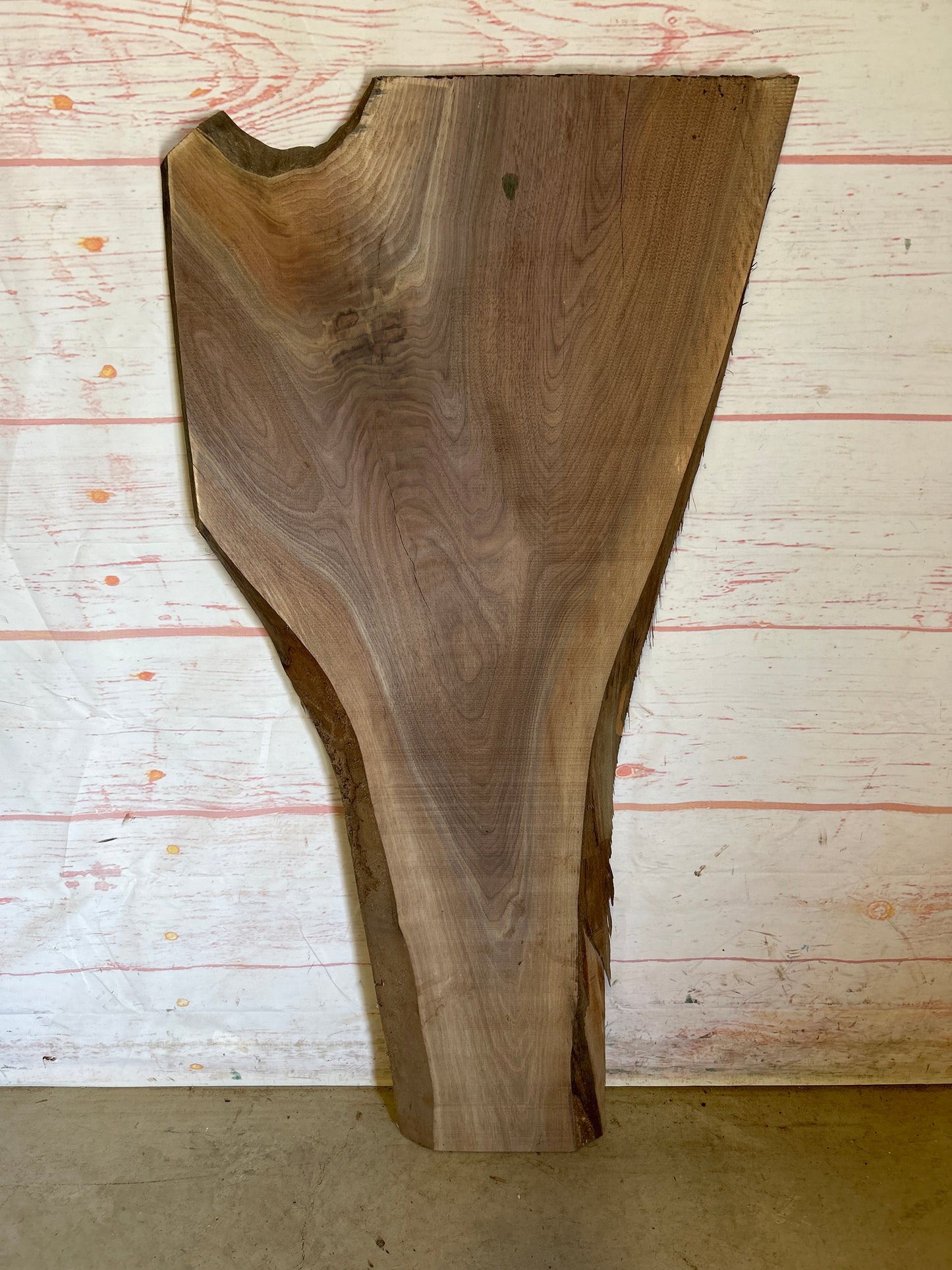 Live Edge Walnut Sku#23958M-10