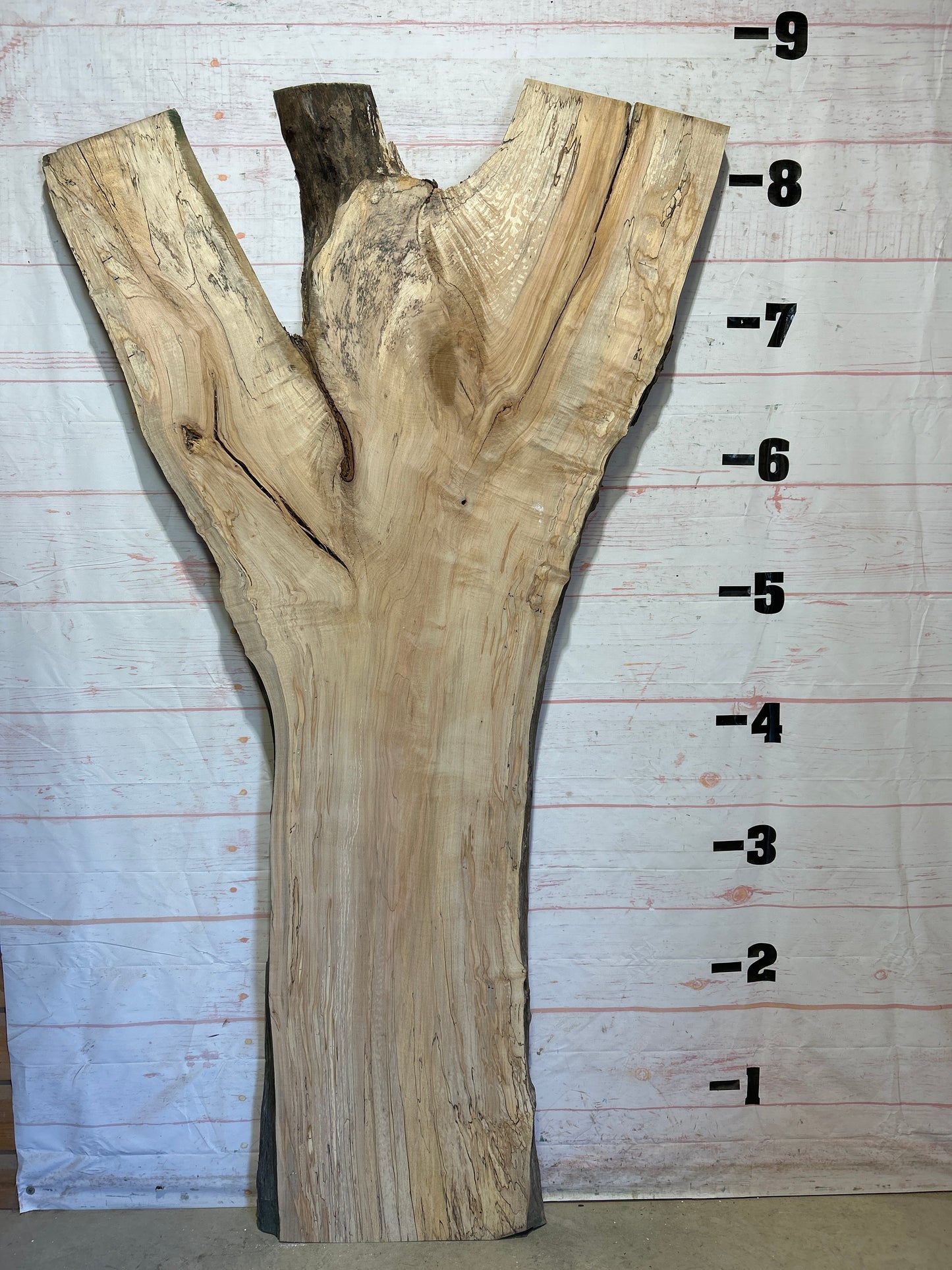 Live Edge Maple Sku#26380-59