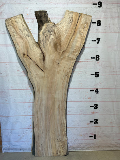 Live Edge Maple Sku#26380-59