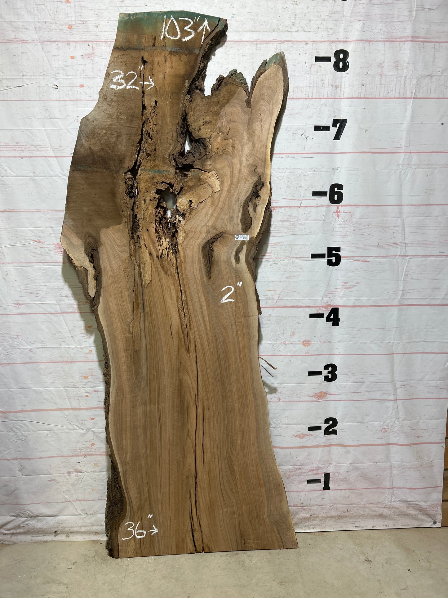 Live Edge Butternut Sku#26750-49