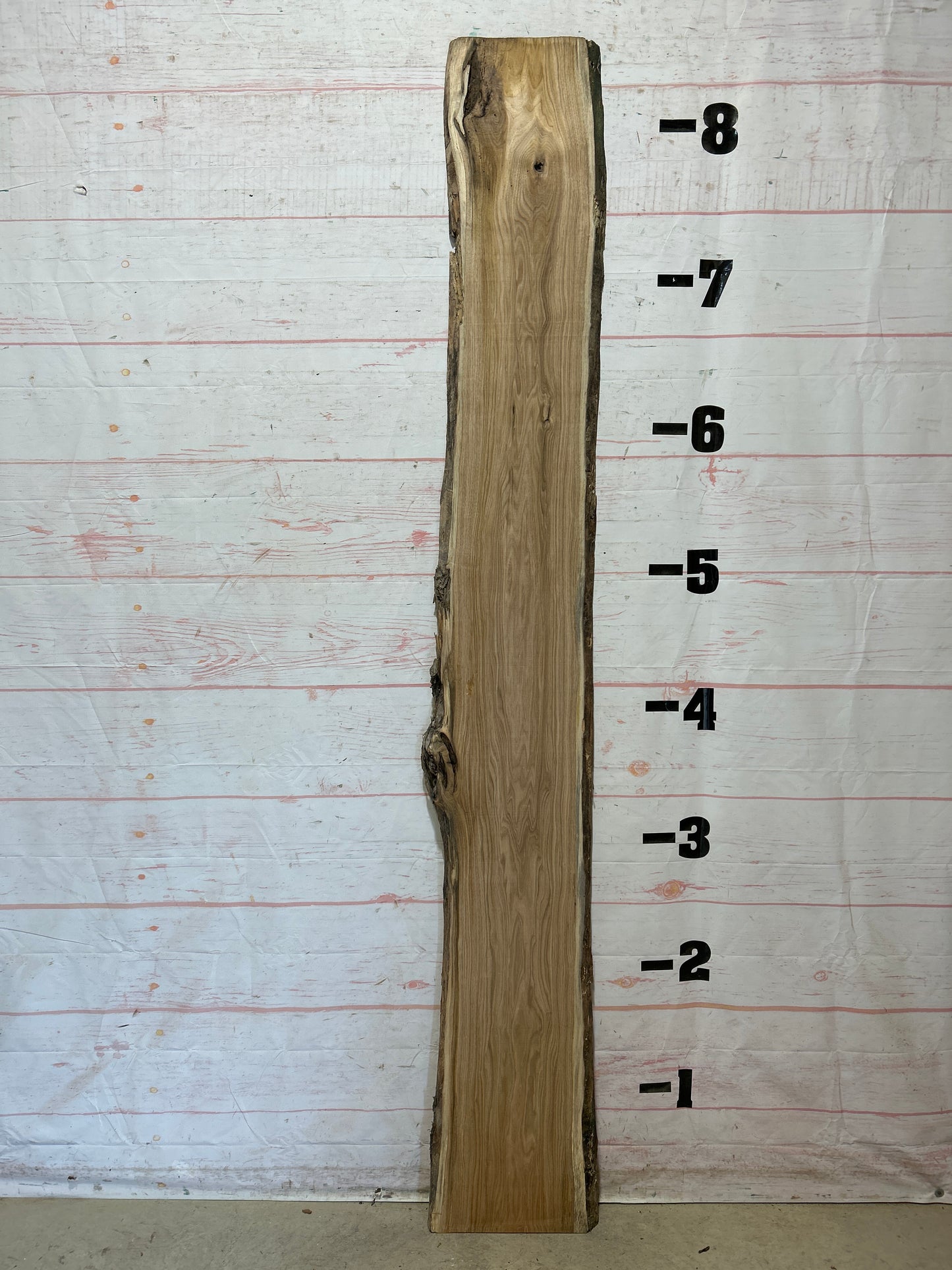 Live Edge Butternut Sku#26321C-15