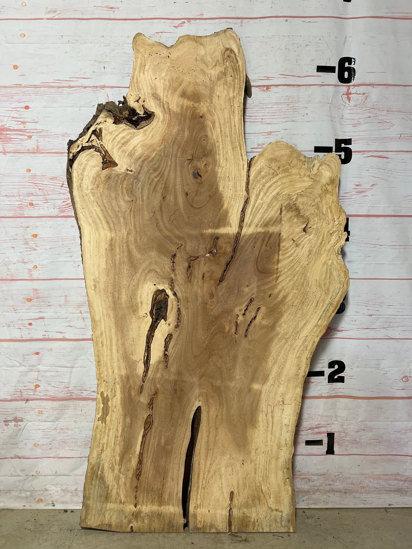 Live Edge Palm Sku# 21034-32