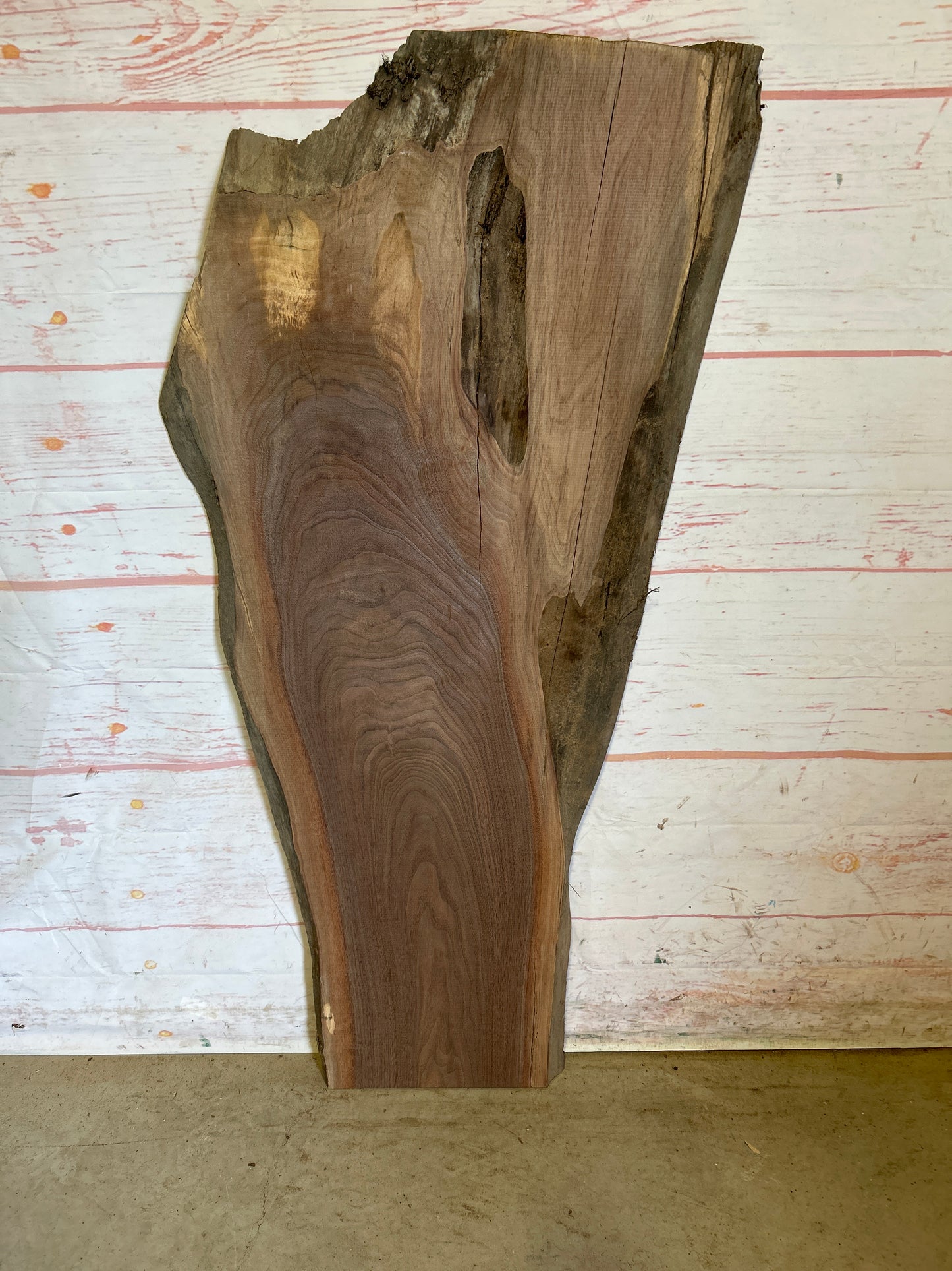 Live Edge Walnut Sku#23951M-10