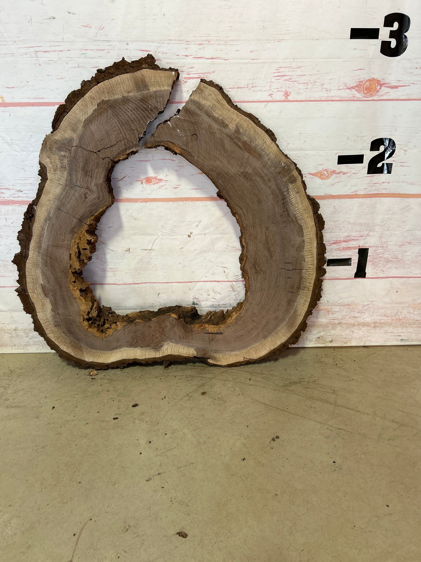 Live Edge Walnut Cookie Sku# 23863M