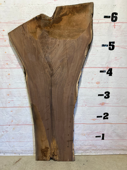 Live Edge Walnut Sku#26361F-30