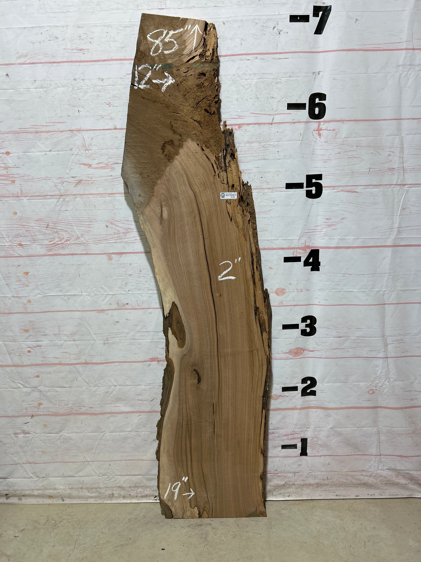 Live Edge Butternut Sku#26752-19