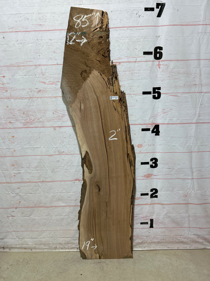 Live Edge Butternut Sku#26752-19