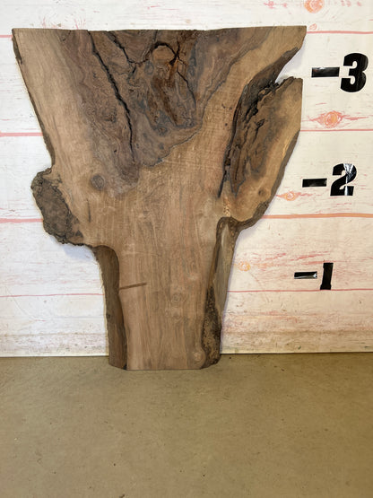Live Edge Walnut Sku#25133M-9