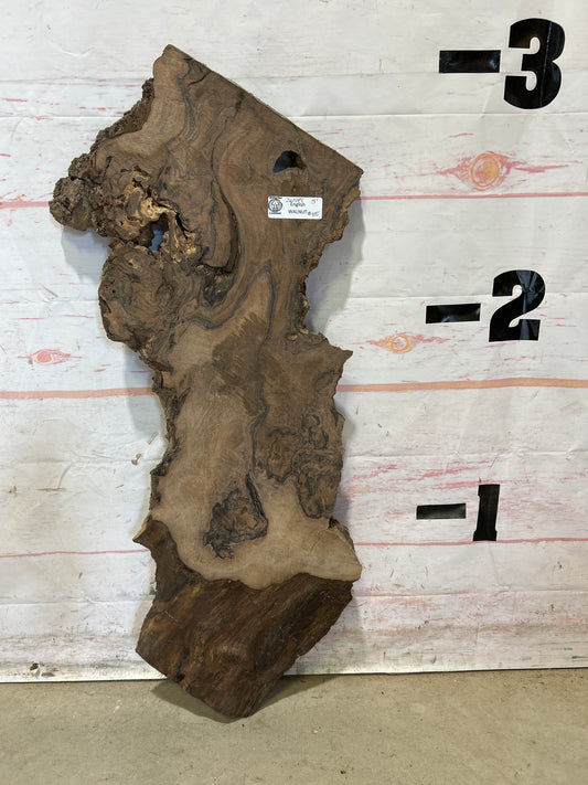 Live Edge English Walnut Sku#26549M-5