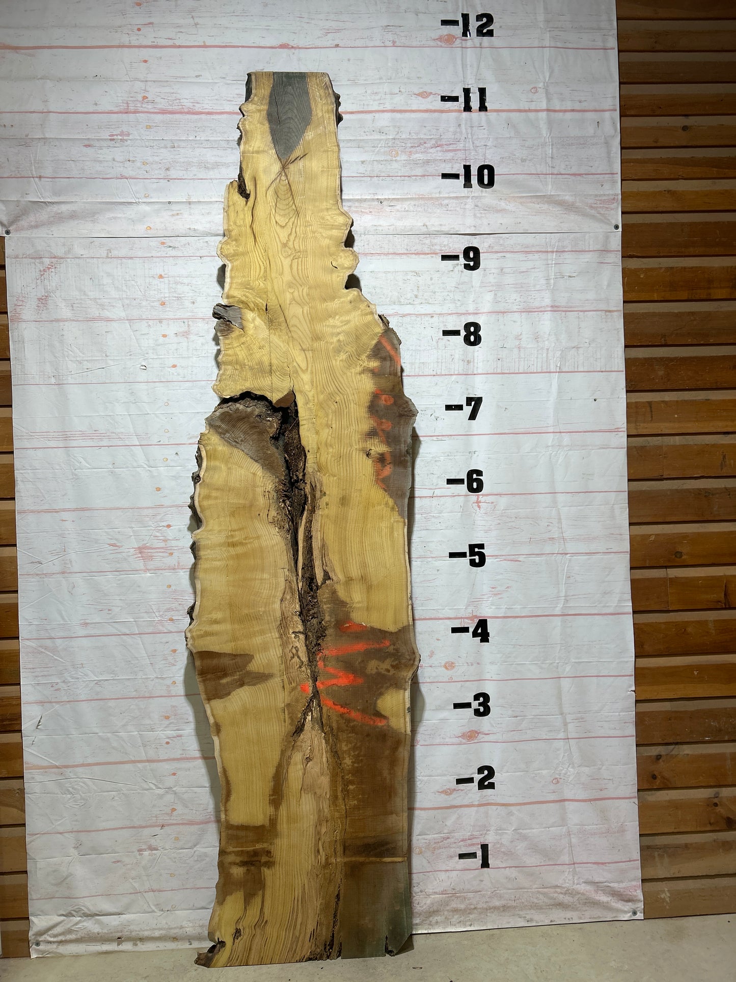 Live Edge Mulberry Sku#26931-45