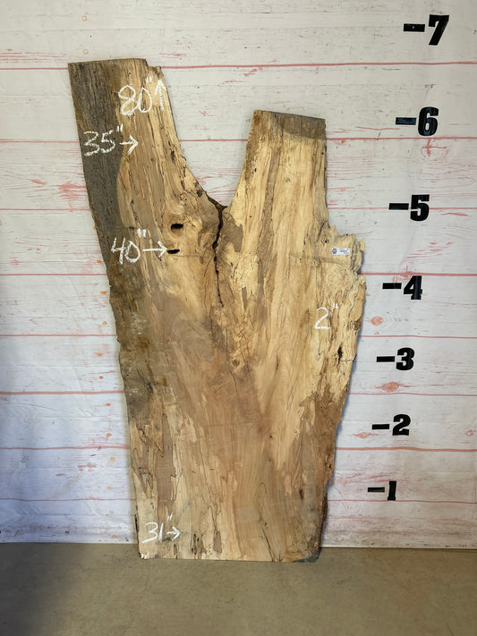 Live Edge Spalted Maple Sku#23921S-40