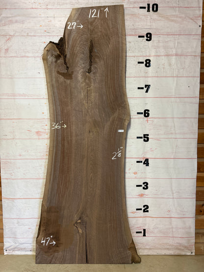 Live Edge Walnut Sku#25177-62