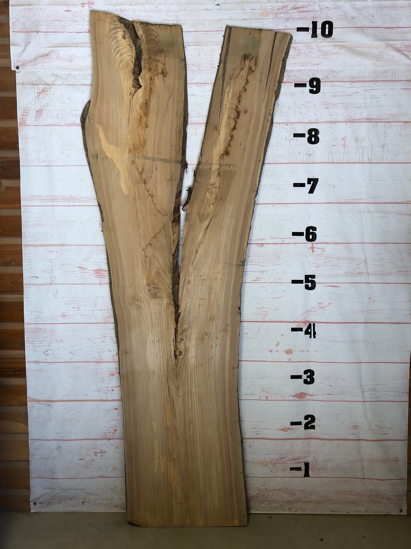 Live Edge Elm Sku#22642-66