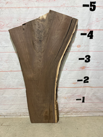 Live Edge Walnut Sku#26615A-19